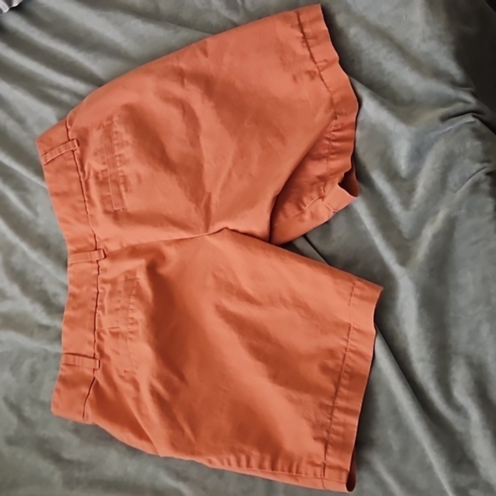 Size‎ 2 LOFT Shorts - Picture 3 of 3